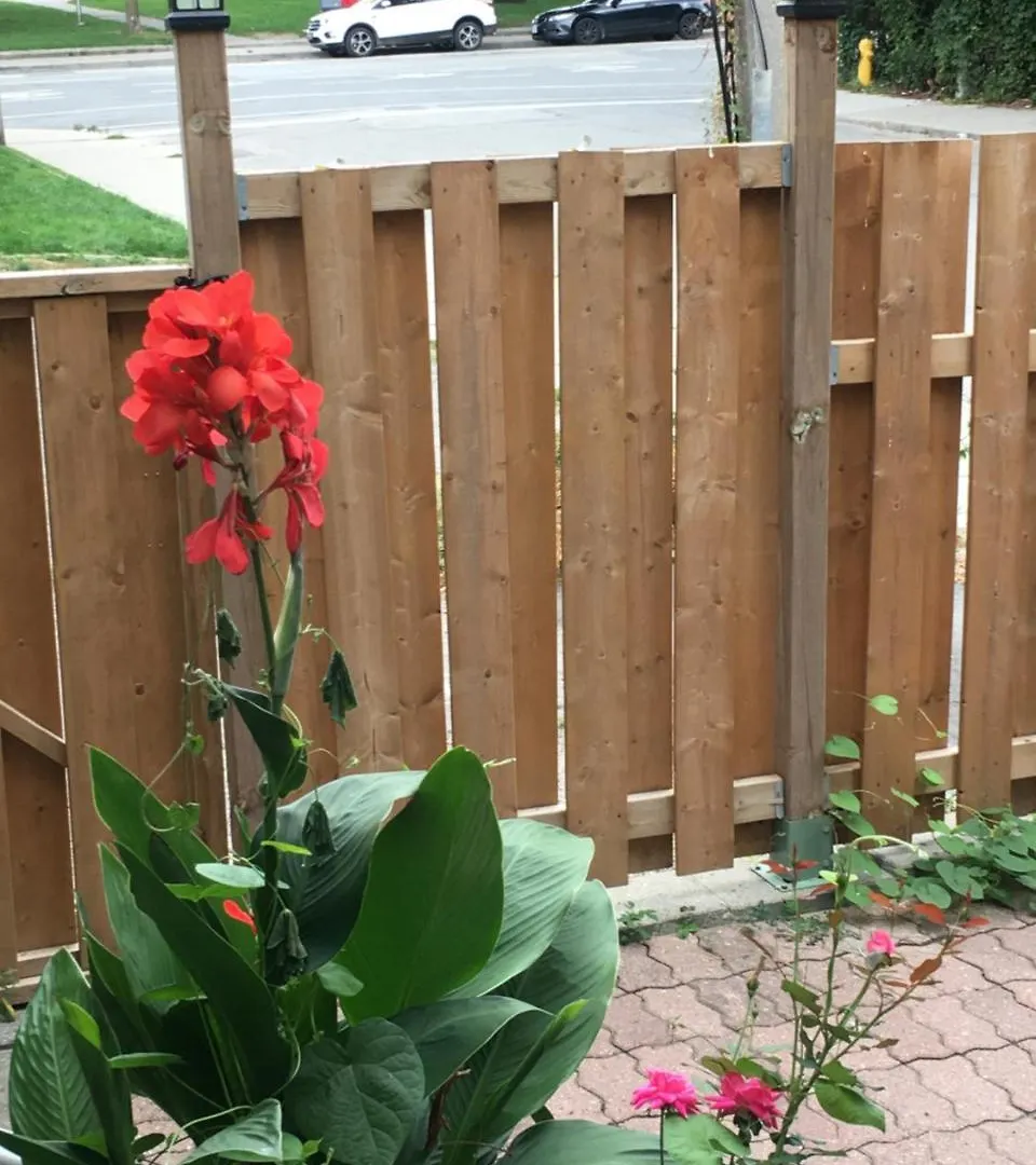 Guests House Hotel Toronto 0*,