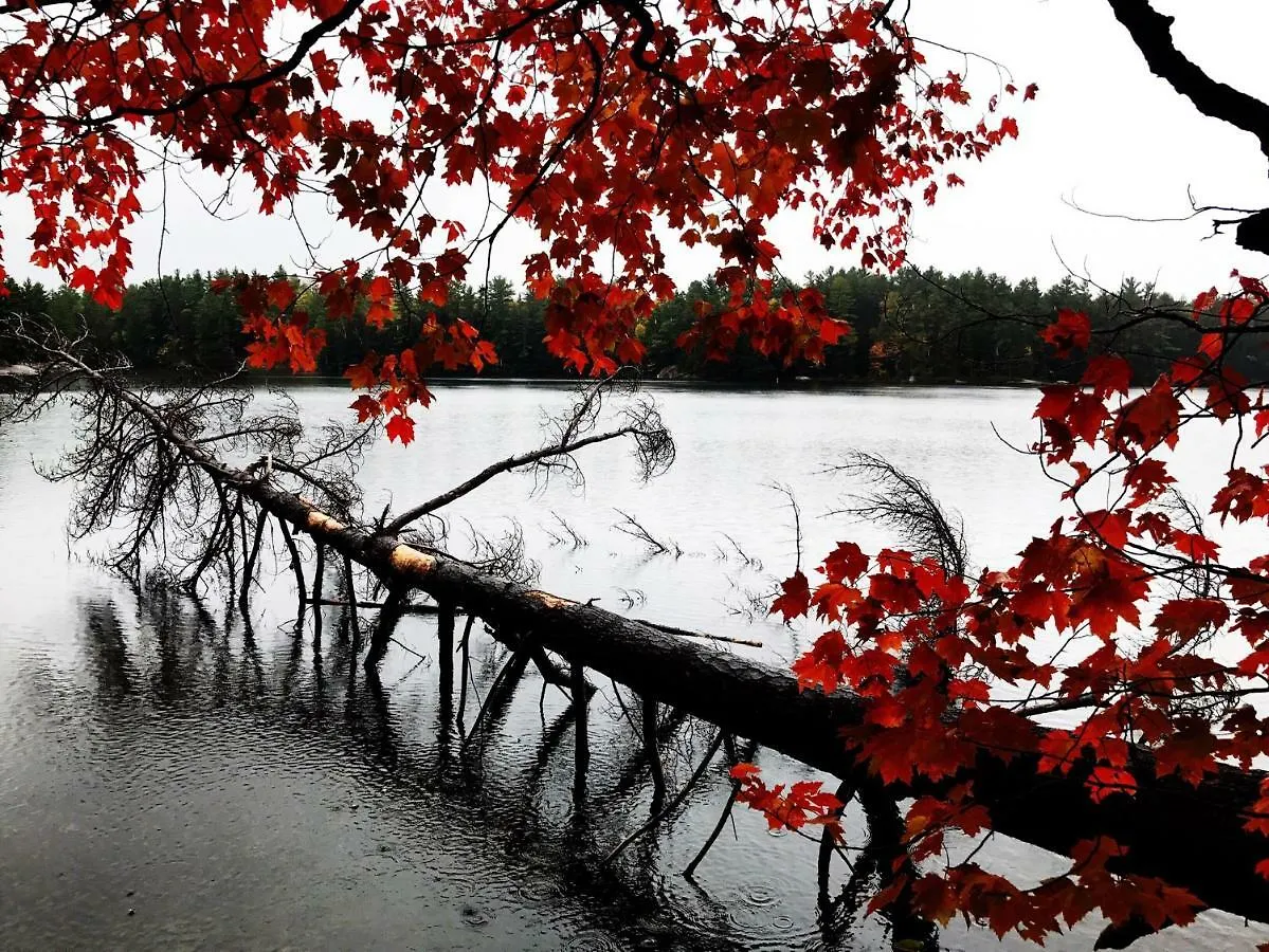 Gasthuis Guests House Hotel Toronto