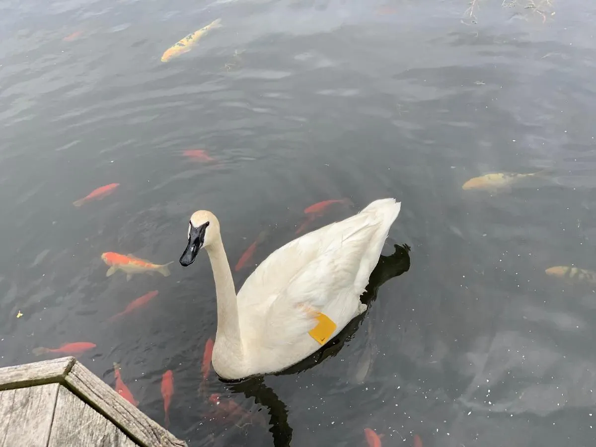 Gasthuis Guests House Hotel Toronto